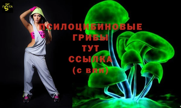 индика Беломорск
