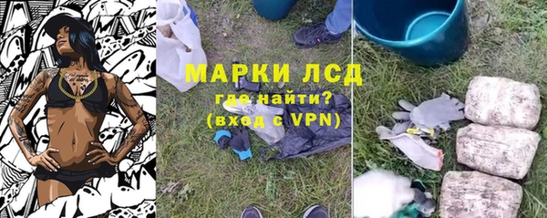 индика Беломорск