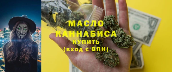 индика Беломорск