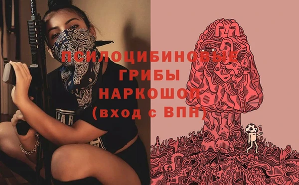 индика Беломорск