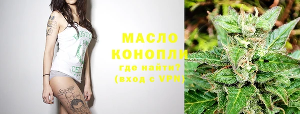 индика Беломорск