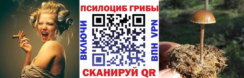 Купить закладки Алзамай Псилоцибиновые грибы GOLDEN TEACHER